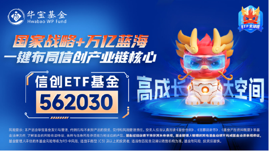 超百亿主力资金狂涌！信创ETF基金（562030）劲涨1.25%，天融信、浪潮软件涨停，机构：重点关注三方面催化